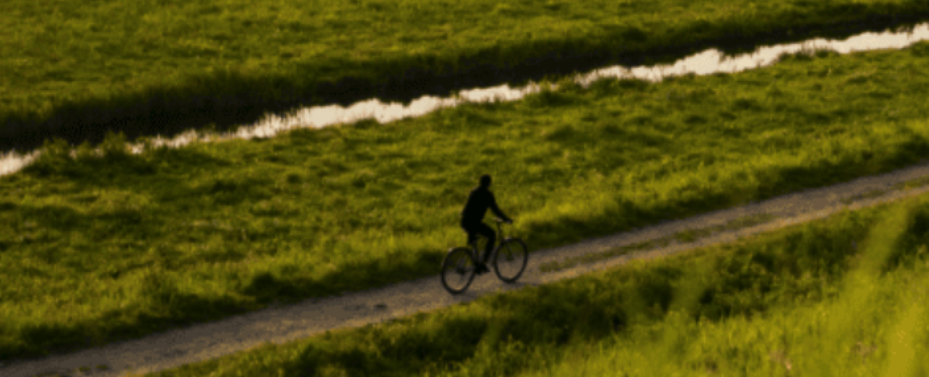 De Buurman Fietsen