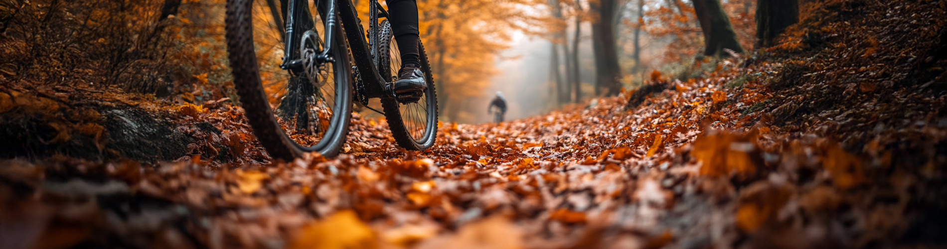 De Buurman Fietsen