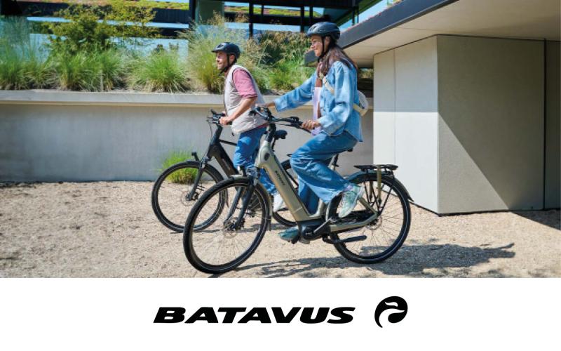 Batavus