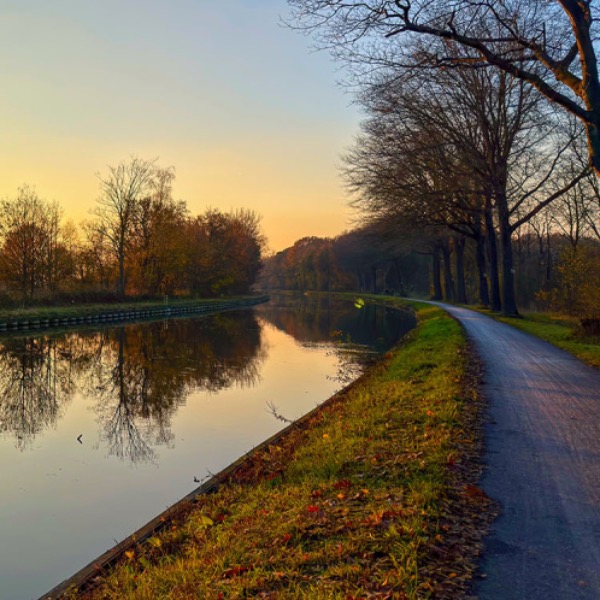 Fietsen als medicijn? Deze onderzoeker noemt het ‘fietsveerkracht’